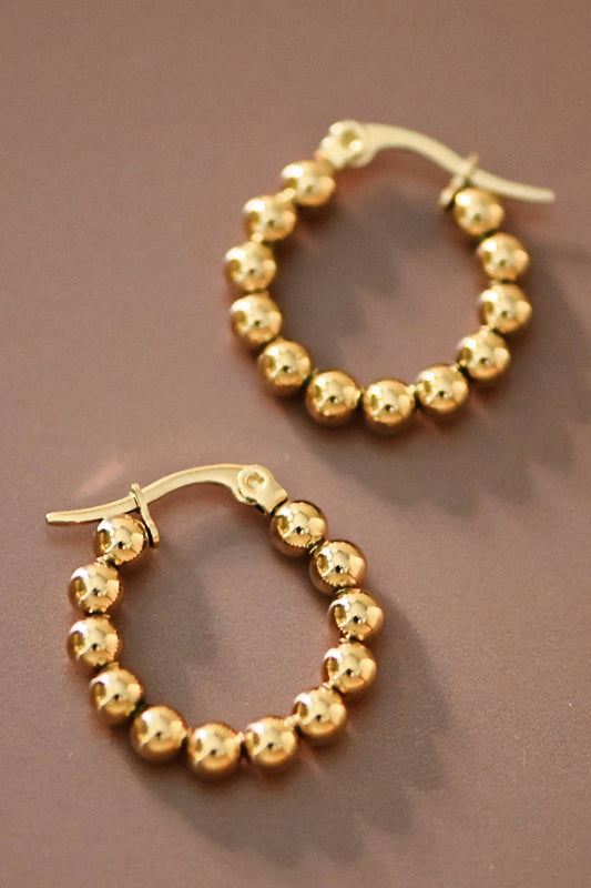 EverGold Hoop Earrings