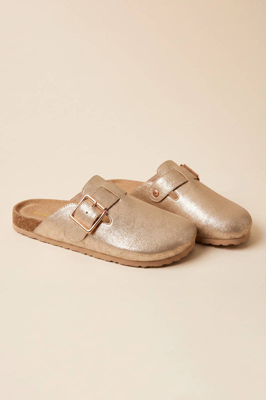 Shimmer & Slide Clogs
